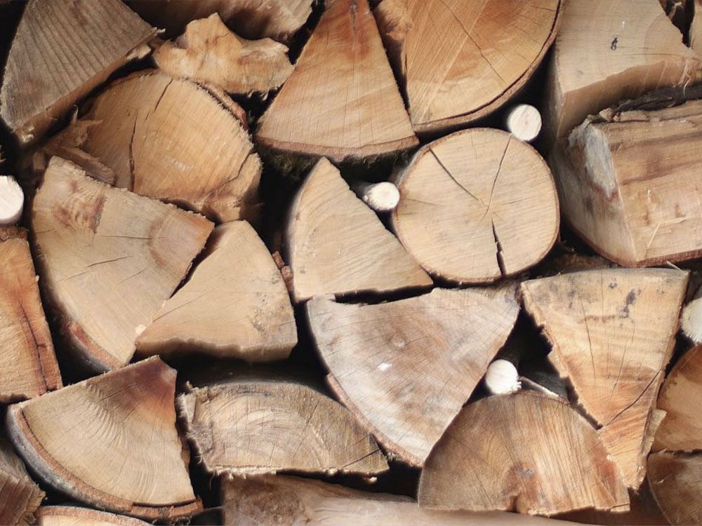 Troncos de madera cortados y apilados